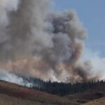 Los manglares vuelven a crecer tras décadas de destrucción humana