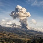 La ciencia revela el impresionante poder acústico de los cachalotes machos.