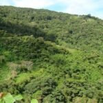 Funvisis reporta sismo de magnitud 2,3 al oeste de Caracas